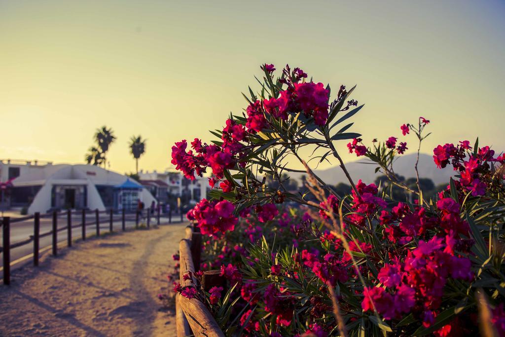 Aparthotel Kione Playa Romana Park